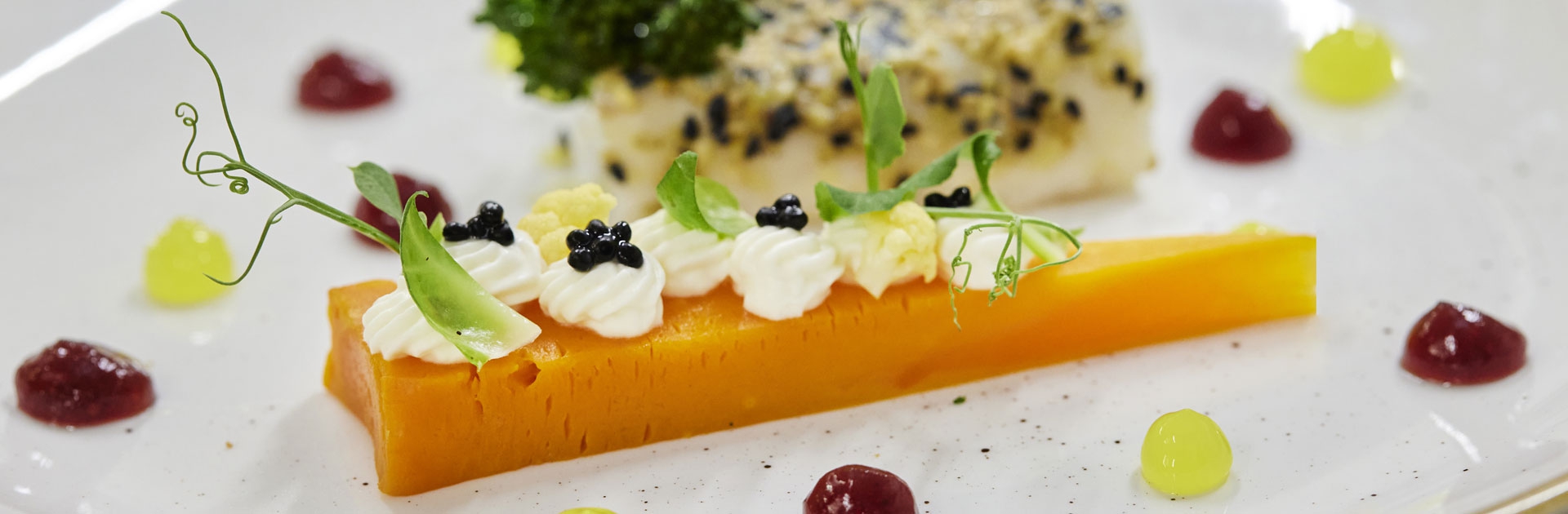 /medias/photos_liste/26_1_crop1920x630_header_3.jpg